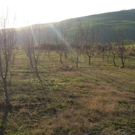 Casale Dei Pozzi 아파트 체르베떼리